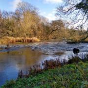 The River Wye near Bakewell