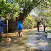 Volunteer citizen scientists monitoring aquatic life in the river near Charlbury