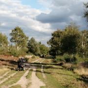 A wheelchair user on Iping Common. (C) Charlie Hellewell