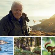 You can visit the locations used for filming BBC's Wild Isles presented by Sir David Attenborough.