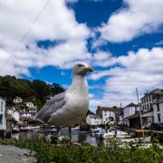 Polperro has been named the coolest place to live in the UK