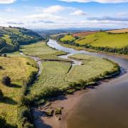 Work is going on across the South Hams to preserve and protect the beautiful landscape. (c) The Sharpham Trust