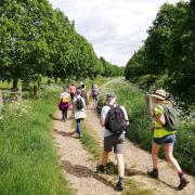 Striding out in the Suffolk Walking Festival. Photo: Suffolk Walking Festival