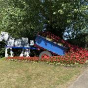 The floral horse and cart display. Photo: Glenn Unstead