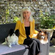 Jan with her Papillon rescue dogs, black and white is DiDee, other is René