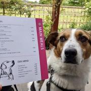 Perusing the menu at the Hope Cafe in Keswick. Photo: Emily Rothery