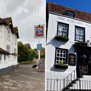 The Blue Bell at Cocking and The Stag Inn at Hastings have been included among the best pubs in the South East for the National Pub & Bar Awards 2023.