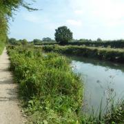 Along the Basingstoke Canal towpath