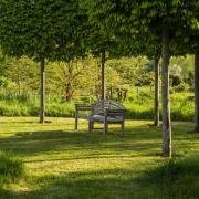 A wild meadow is broken by more formal area near the house featuring pleached hornbeams. Photo: Tom Hoblyn