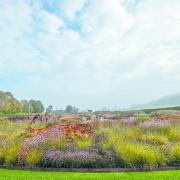The stunning garden at Hauser & Wirth Gallery in Bruton. Photo: Shutterstock/ Lois GoBe