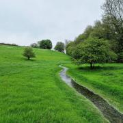 Water meadows on the edge of town. Kirsty Hartsiotis