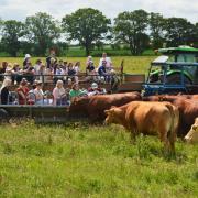 Open Farm Sunday will welcome thousands of visitors to events across East Anglia on June 7