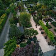 Located in the heart of Windermere, the nursery provides exceptional plants  and insight and guidance