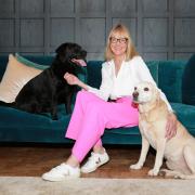 Louise Minchin with her dogs, Ruby and Waffle