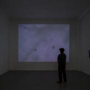 Microscopy video installation at Museo de Arte
Contemporáneo, Chile, November 2022. Photo: Felipe Ugalde
