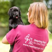 It costs £40,000 to fully train and support a hearing dog for the duration of its life, and the charity relies entirely on the support of donations hearingdogs.org.uk
