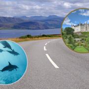 From Dunrobin Castle to the Chanonry Point, here are the best attractions on the NC500