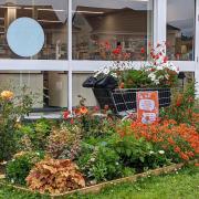South Molton in Bloom's display outside the local Sainsbury's store. Photo: South Molton in Bloom