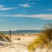 The dog-friendly environment was one point of praise for West Wittering beach
