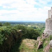 The stunning view from Beeston Castle. (c) David Dunford