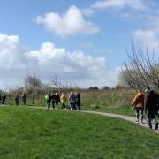SASP walking group follow the path towards the River Brue. Photo: Rachel Mead