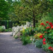 A Mediterranean garden at RHS Garden Rosemoor