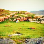 A summers day wild camping on Haytor in Dartmoor national park
