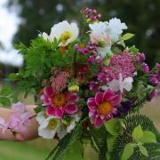A Firs Farm bouquet. (c) Alison Moore