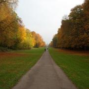 Cirencester Park