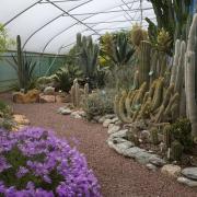 The Mexican weekend features the 'Hot & Spiky' cactus house (c) Leigh Clapp