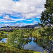 The sun doesn't always shine on Tarn Hows, but it is constantly beautiful. Photo: Getty Images