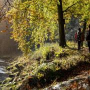 Bolton Abbey is the perfect place for an autumn walk. Bolton abbey