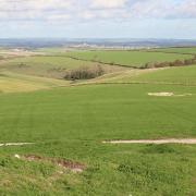 Pylon free landscape between Corton Hill and Dorchester. (Photo: Edward Griffiths)