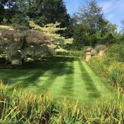 Lawns may not be looking as brown as they did this time last year, thanks to the rain we’ve had this summer.