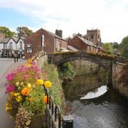 Flowers by the river in Croston. PHOTO: John Cocks