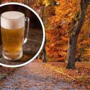 There are a few nice autumn walks to take in around Sussex with a pub stop on route