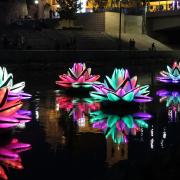 See colourful floating water lillies from Budapest-based Koros Design. Koros Design
