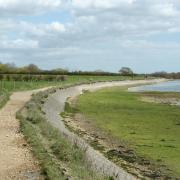 Chichester harbour is the smallest Area of Outstanding Natural Beauty in the south east (c) Fiona Barltrop