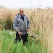 Reedcutter Wally Mason, 75, at work on the marshes at Haddiscoe Island. Picture: Denise Bradley