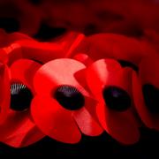 A round-up of Kent's Remembrance Services 2023