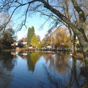 Buriton's pond is picturesque at this time of year (c) Fiona Barltrop