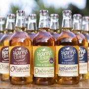 Mixed case of Harry's Cider Photo: BILL BRADSHAW