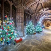 Christmas Tree Festival at Chester Cathedral