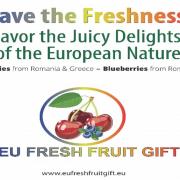 Experience the freshness of the EU with EU fresh fruit gifts