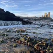 The Reculver tower and a waterfall
