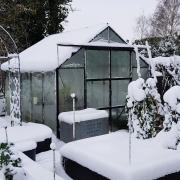Brush snow from greenhouses, cloches and cold frames to avoid damage to them. Photo: Ade Sellars
