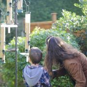 Installing a feeder will attract birds