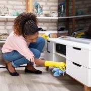 Start the new year by giving your home a thorough clean