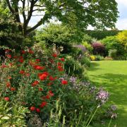 Arley Hall's Walled Garden in May with the striking red of Lychnis Chalcedonica.