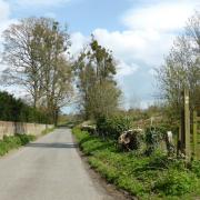 Enjoy a stroll along one of the pretty country lanes surrounding Avington House, as it was once known